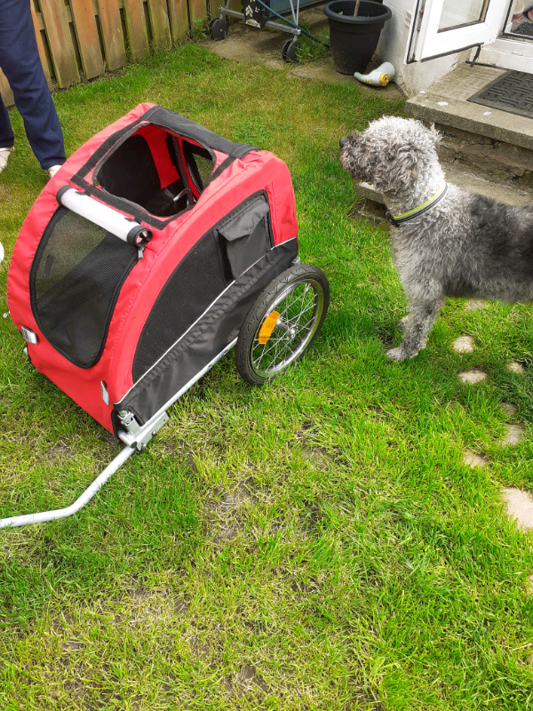 dog bike trailer gumtree